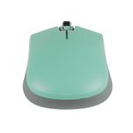 17079 - MOUSE INALAMBRICO OPTICO ESSENTIAL VERDE