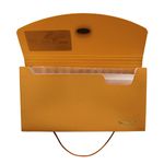 18274 - ARCHIFUELLE CHEQUERA 13SEP CON LIGA COLORES NEON