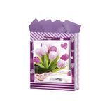 13595 - BOLSA REGALO MEDIANA DAMA