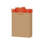 13603 - BOLSA REGALO MEDIANA KRAFT COLORES WOW