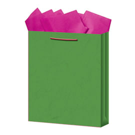 18381 - BOLSA REGALO CHICA KRAFT COLORES