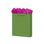 13602 - BOLSA REGALO MEDIANA KRAFT COLORES