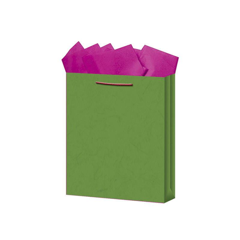 13602 - BOLSA REGALO MEDIANA KRAFT COLORES