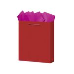 18388 - BOLSA REGALO MEDIANA KRAFT COLORES