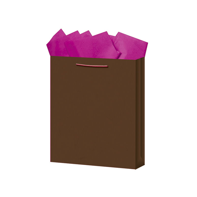 18389 - BOLSA REGALO MEDIANA KRAFT COLORES