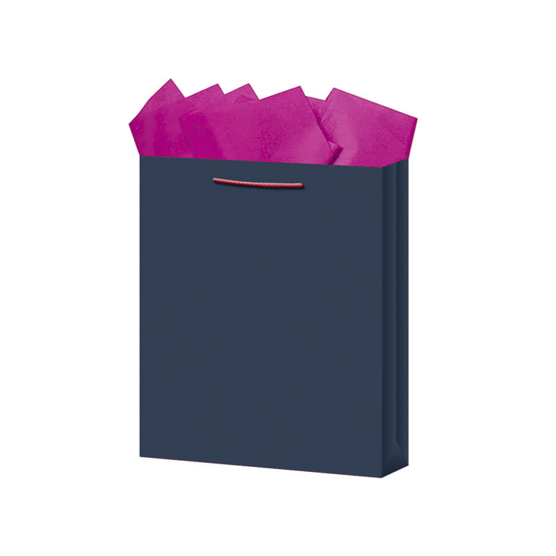 18390 - BOLSA REGALO MEDIANA KRAFT COLORES