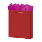 13527 - BOLSA REGALO GRANDE KRAFT COLORES