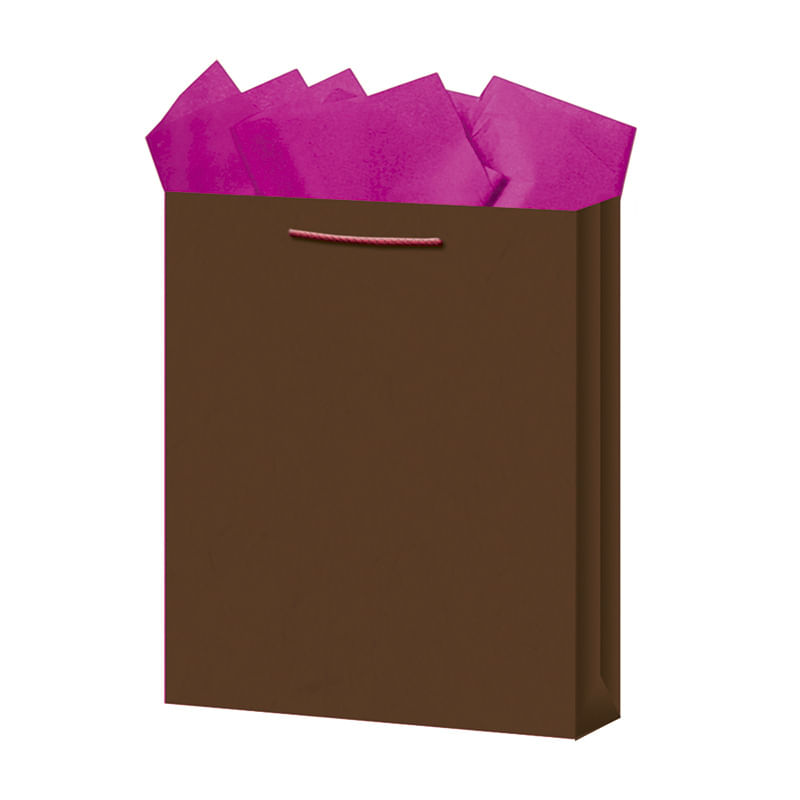 18396 - BOLSA REGALO GRANDE KRAFT COLORES