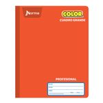 18679 - CUADERNO COSIDO PROFESIONAL 100H C-7 NORMA COLOR