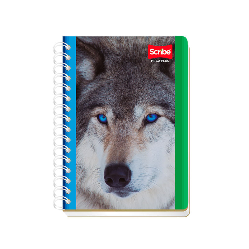 18740 - CUADERNO ESPIRAL FRANCES 100H C-5 MEGA