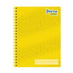 12007 - CUADERNO PROFESIONAL 100H C-5 NORMA COLOR