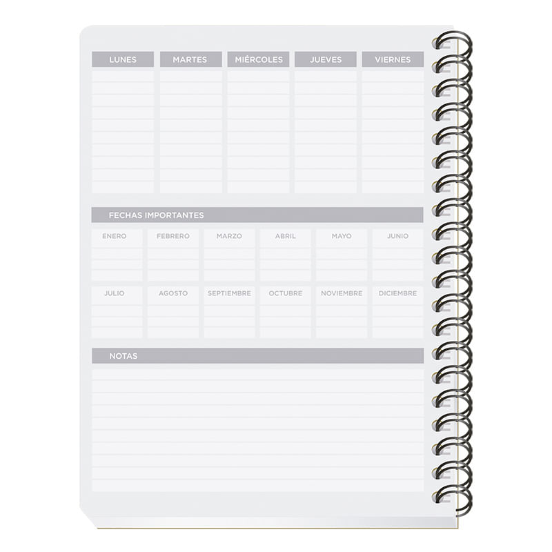 19021 - CUADERNO PROFESIONAL 100H PAUTADO CLASICO