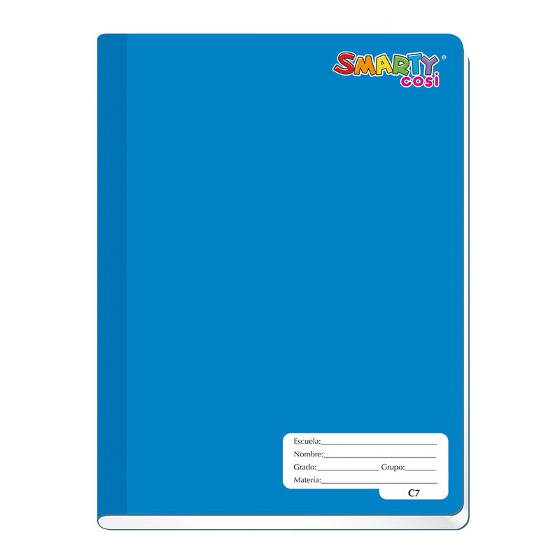 19246 - CUADERNO COSIDO PROFESIONAL 100H C-7 SWING COSI