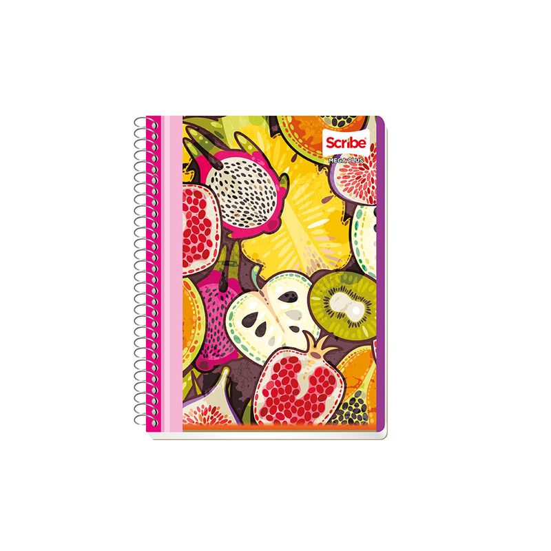11597 - CUADERNO ESPIRAL FRANCES 100H BLANCO MEGA