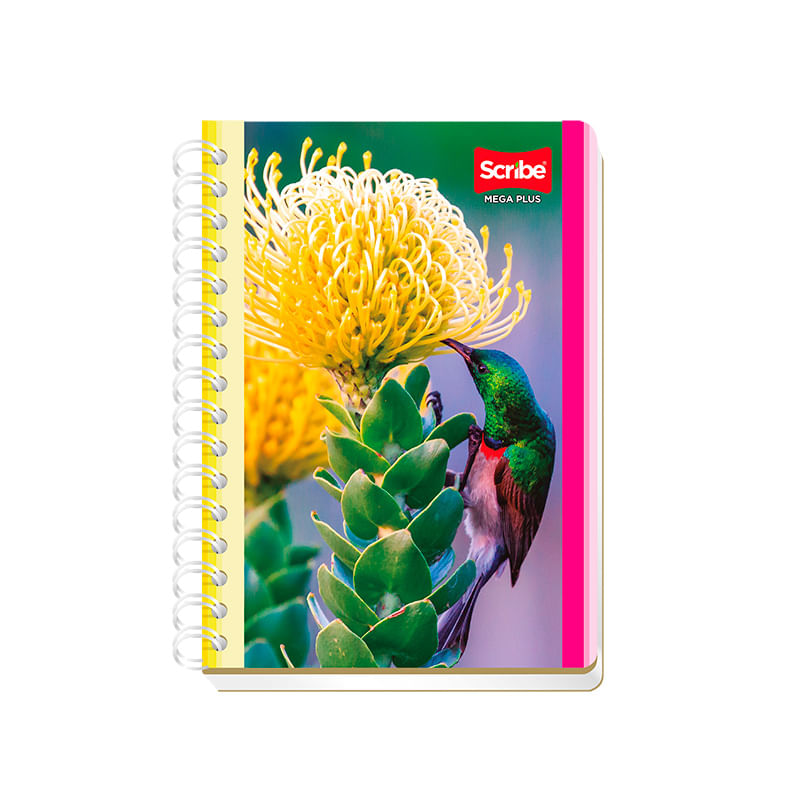 19293 - CUADERNO ESPIRAL FRANCES 100H BLANCO MEGA