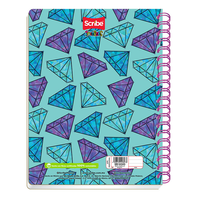 19355 - CUADERNO PROFESIONAL 100H C-7 INCOLORS