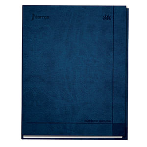 19491 - CUADERNO EJECUTIVO PROFESIONAL 100H RAYAS ESPIRAL PD DAILY NOTES