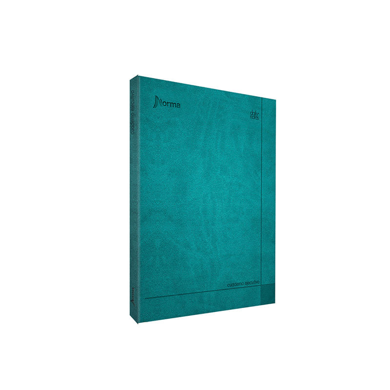 11490 - CUADERNO EJECUTIVO FRANCES 100H RAYAS ESPIRAL PD DAILY NOTES