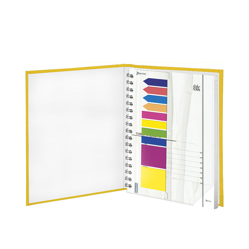 19495 - CUADERNO EJECUTIVO FRANCES 100H RAYAS ESPIRAL PD DAILY NOTES