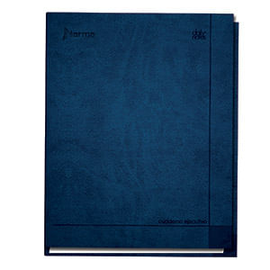 19499 - CUADERNO EJECUTIVO FRANCES 100H RAYAS ESPIRAL PD DAILY NOTES