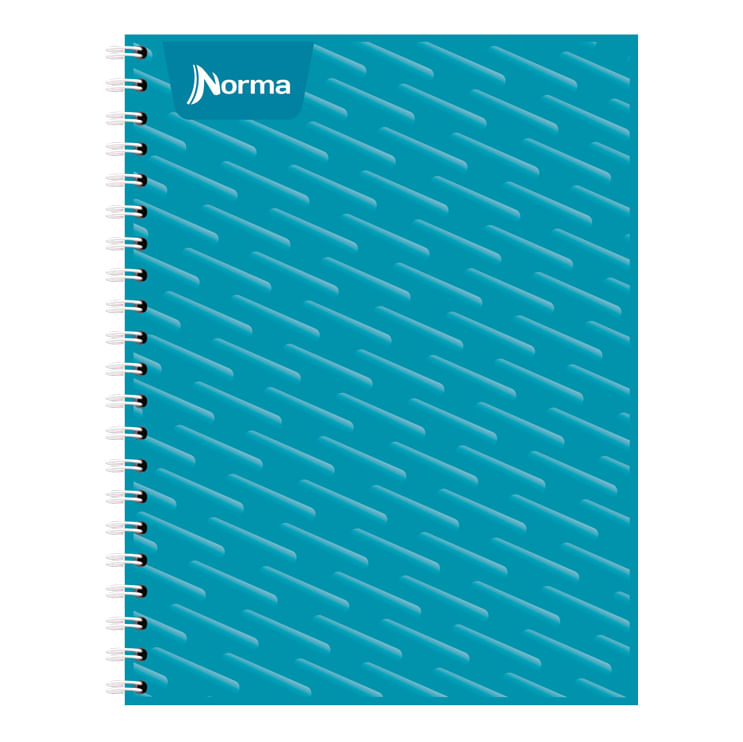 12498 - CUADERNO PROFESIONAL 100H RAYAS UNICOLOR