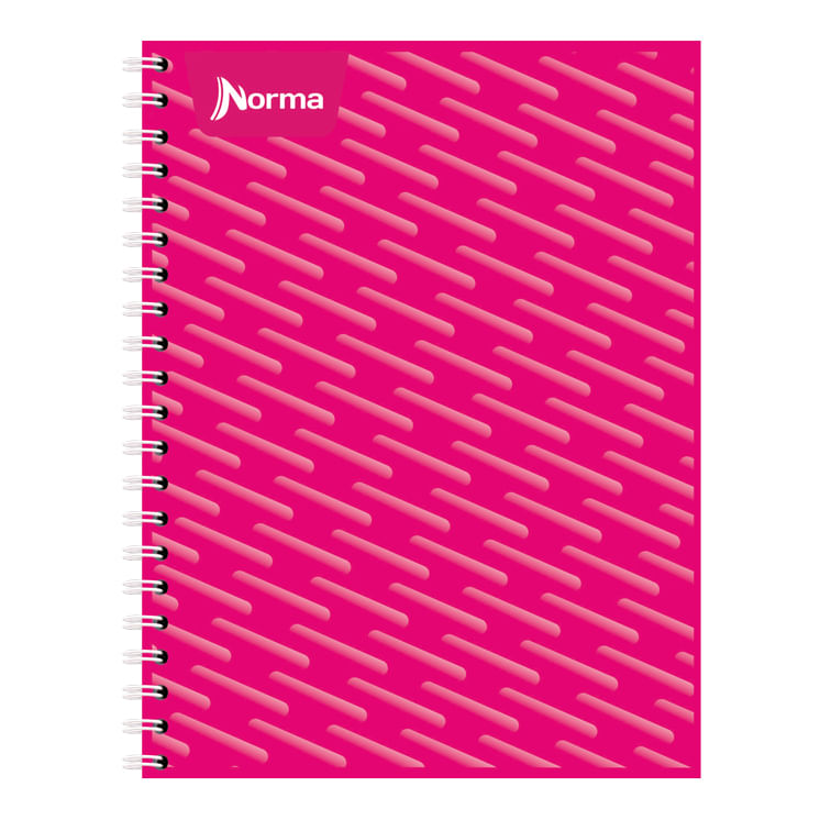 19650 - CUADERNO PROFESIONAL 100H RAYAS UNICOLOR