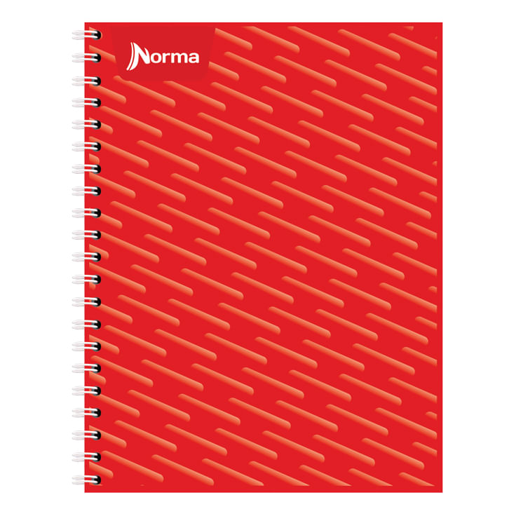 12068 - CUADERNO PROFESIONAL 100H C-5 UNICOLOR