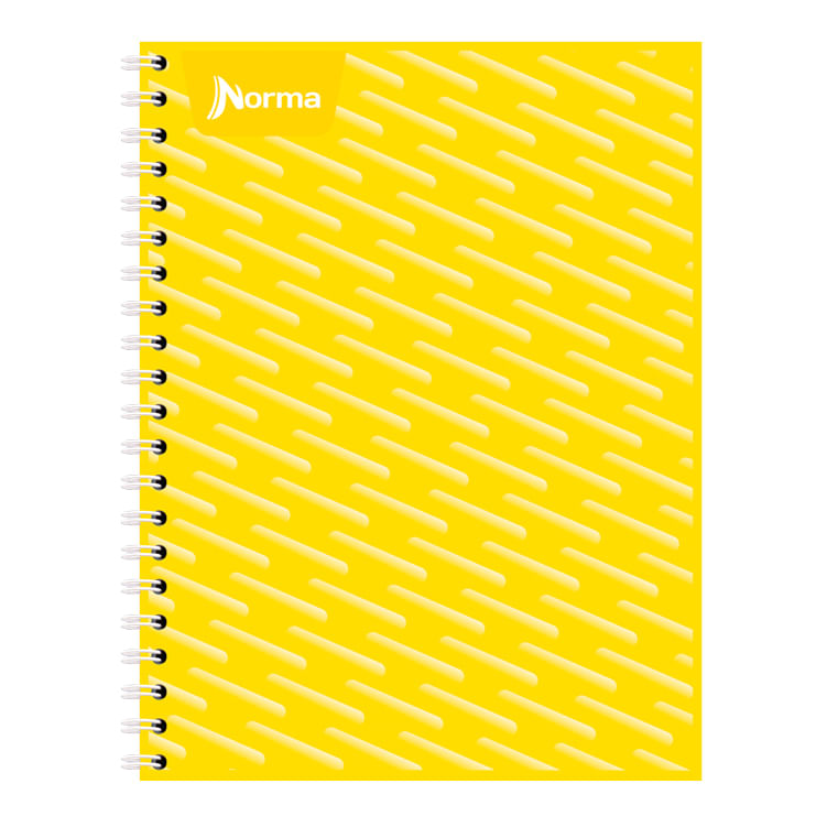 19653 - CUADERNO PROFESIONAL 100H C-5 UNICOLOR