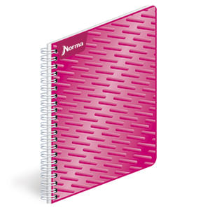 19658 - CUADERNO PROFESIONAL 100H C-7 UNICOLOR