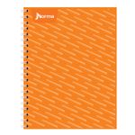 19661 - CUADERNO PROFESIONAL 100H C-7 UNICOLOR