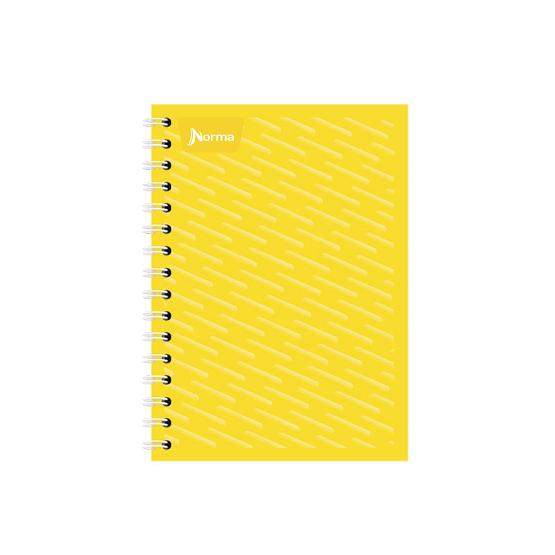 19667 - CUADERNO ESPIRAL FRANCES 100H RAYAS UNICOLOR