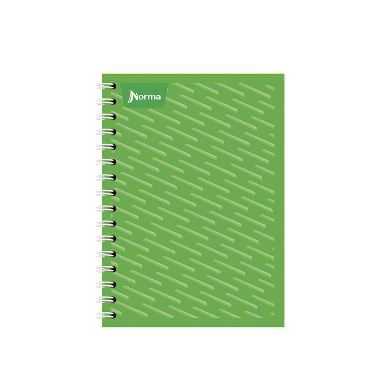 19668 - CUADERNO ESPIRAL FRANCES 100H RAYAS UNICOLOR