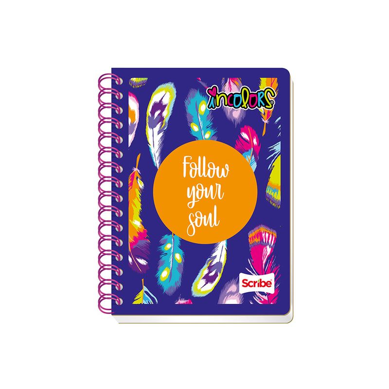 19689 - CUADERNO ESPIRAL FRANCES 100H RAYAS INCOLORS