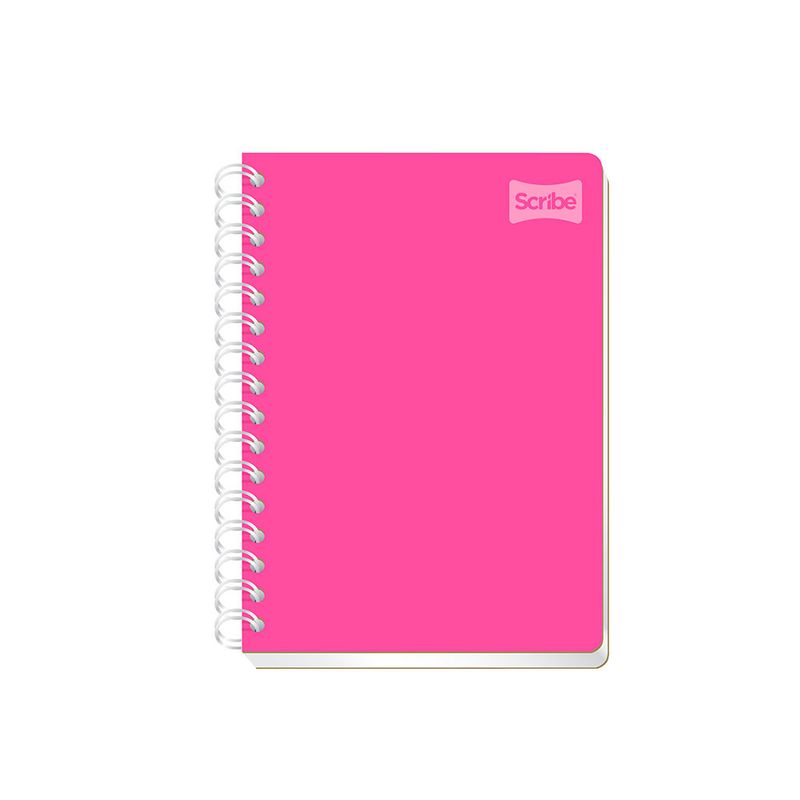 19695 - CUADERNO ESPIRAL FRANCES 100H RAYAS POLYCOVER