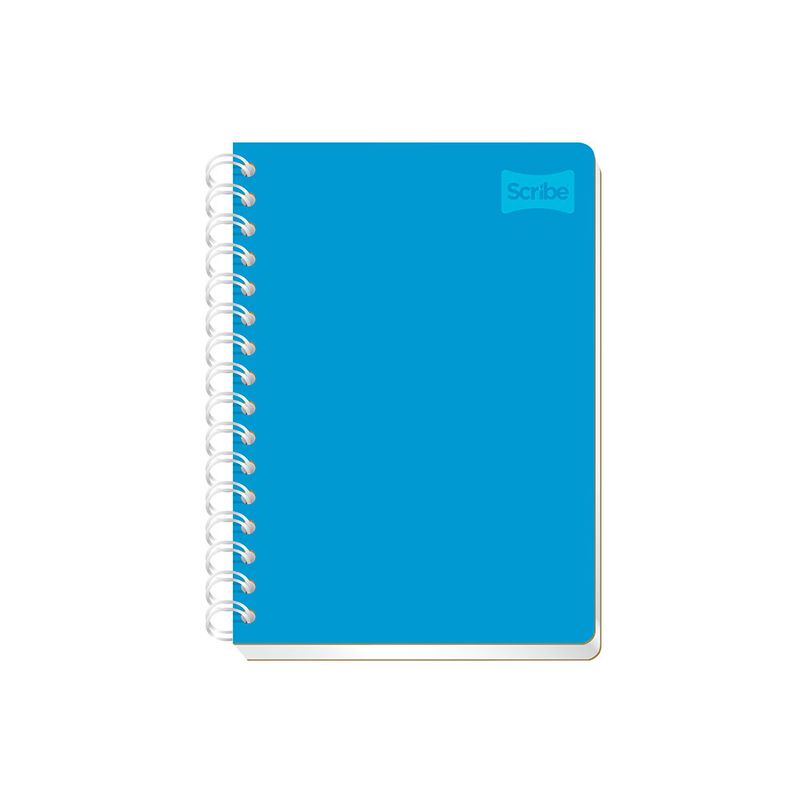 11657 - CUADERNO ESPIRAL FRANCES 100H C-5 POLYCOVER