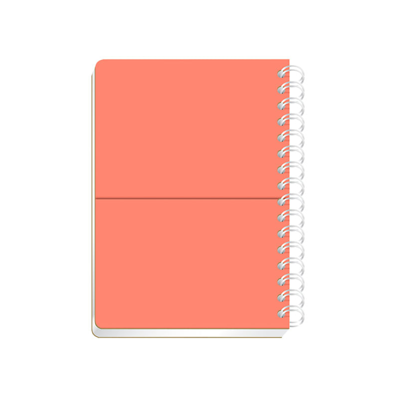 19702 - CUADERNO ESPIRAL FRANCES 100H C-5 POLYCOVER
