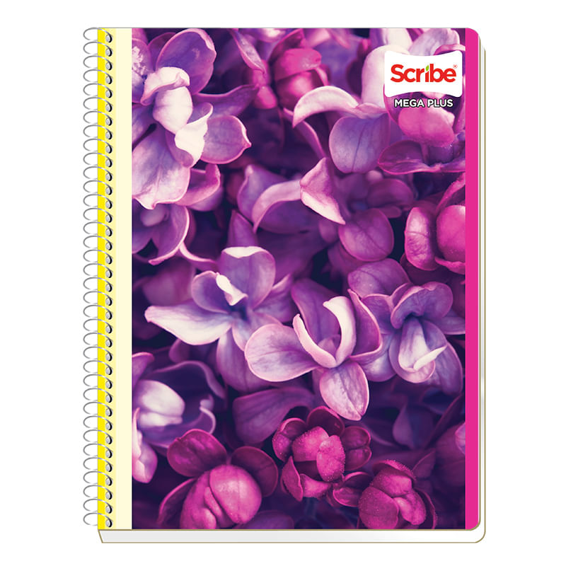 19797 - CUADERNO PROFESIONAL 200H RAYAS MEGA