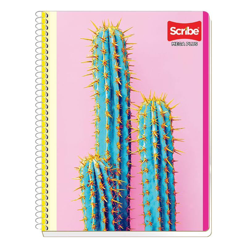 19798 - CUADERNO PROFESIONAL 200H RAYAS MEGA