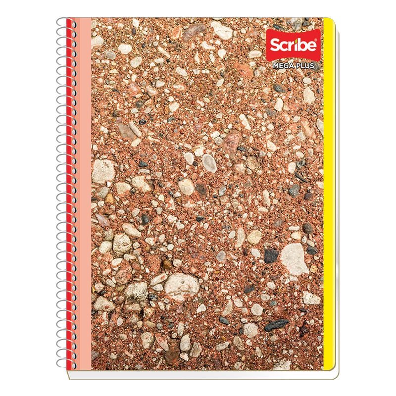 19802 - CUADERNO PROFESIONAL 200H C-5 MEGA