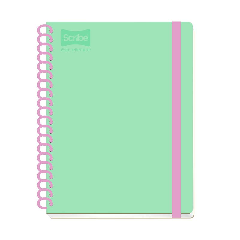 20399 - CUADERNO PROFESIONAL 200H RAYAS CON LIGA EXCELLENCE PD