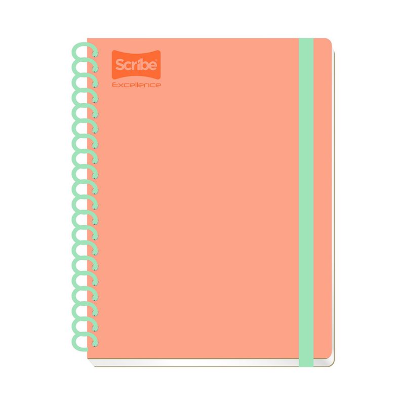 20400 - CUADERNO PROFESIONAL 200H RAYAS CON LIGA EXCELLENCE PD