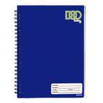 20407 - CUADERNO PROFESIONAL 100H RAYA DOO SWING COLS