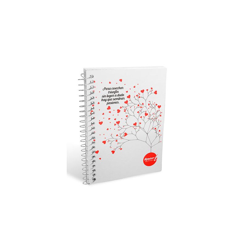 16240 - LIBRETA ESPIRAL FRANCES 100H RAYAS