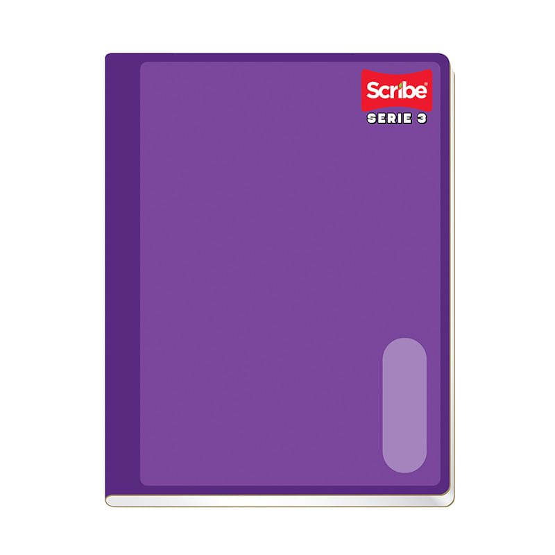 30893 - CUADERNO COSIDO PROF 100 HOJAS BCO SERIE 3