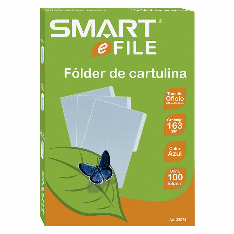 13633 - FOLDER OFICIO AZUL CON 100PZAS
