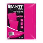 13566 - FOLDER NEON CARTA ROSA C/5PZAS