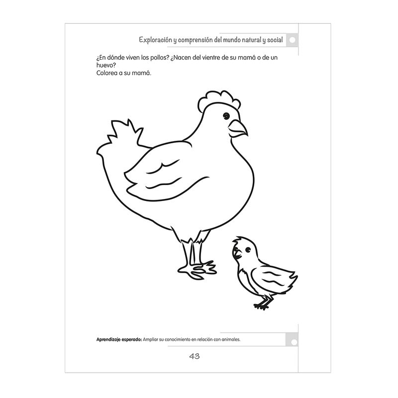 41452 - LIBRO CAMPOS FORMATIVOS PREESCOLAR 1