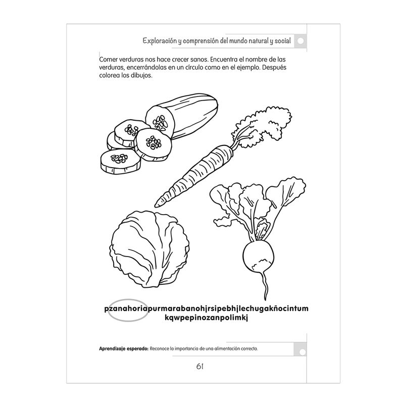 41499 - LIBRO CAMPOS FORMATIVOS PREESCOLAR 3