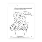 42169 - LIBRO EJERCICIOS TRAZO Y JUEGO PREESCOLAR 1