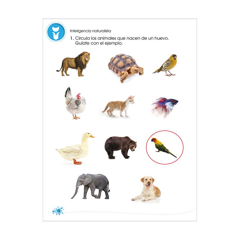 42192 - LIBRO EJERCICIOS SUPER MENTES PRIMARIA 1